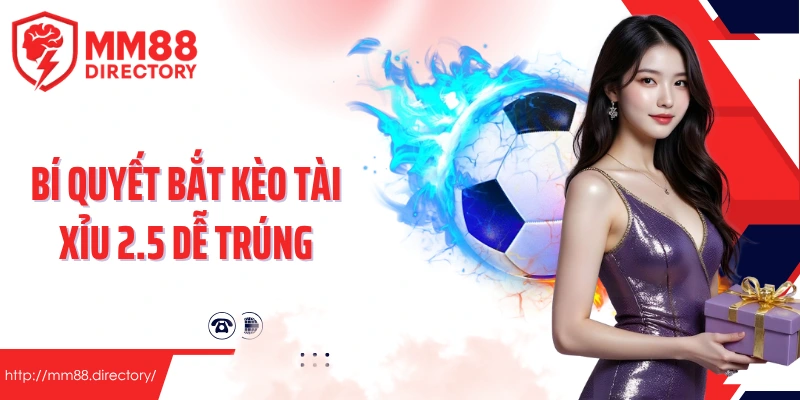 Bí quyết bắt kèo tài xỉu 2.5 dễ trúng từ dân chơi lâu năm