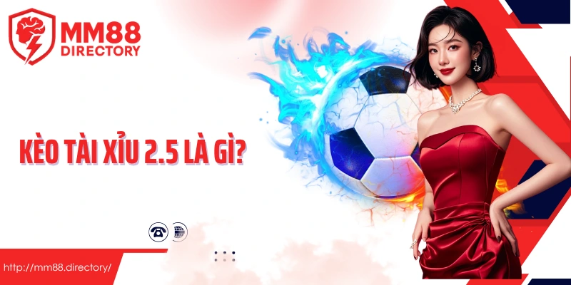 Kèo Tài Xỉu 2 2.5 Là Gì